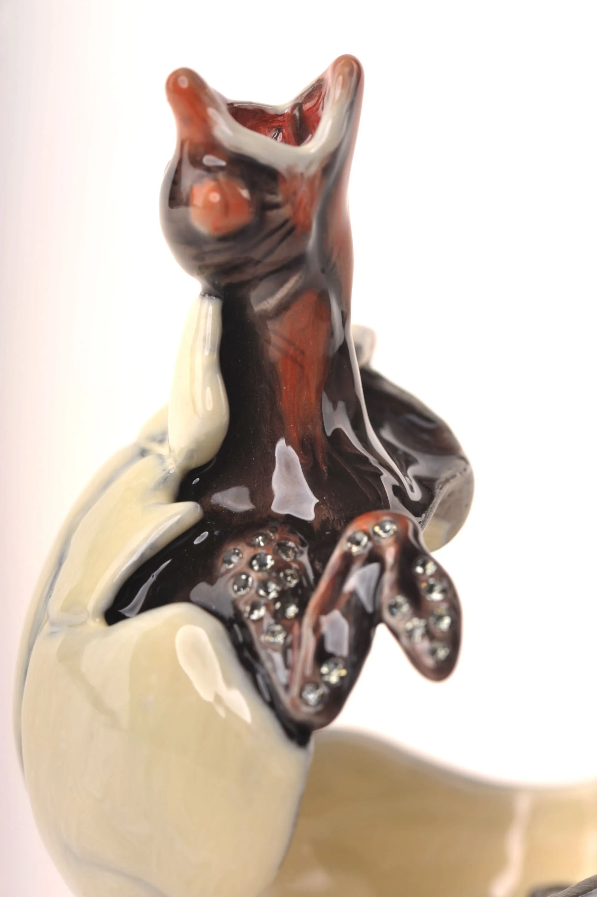 Hatching Chick
