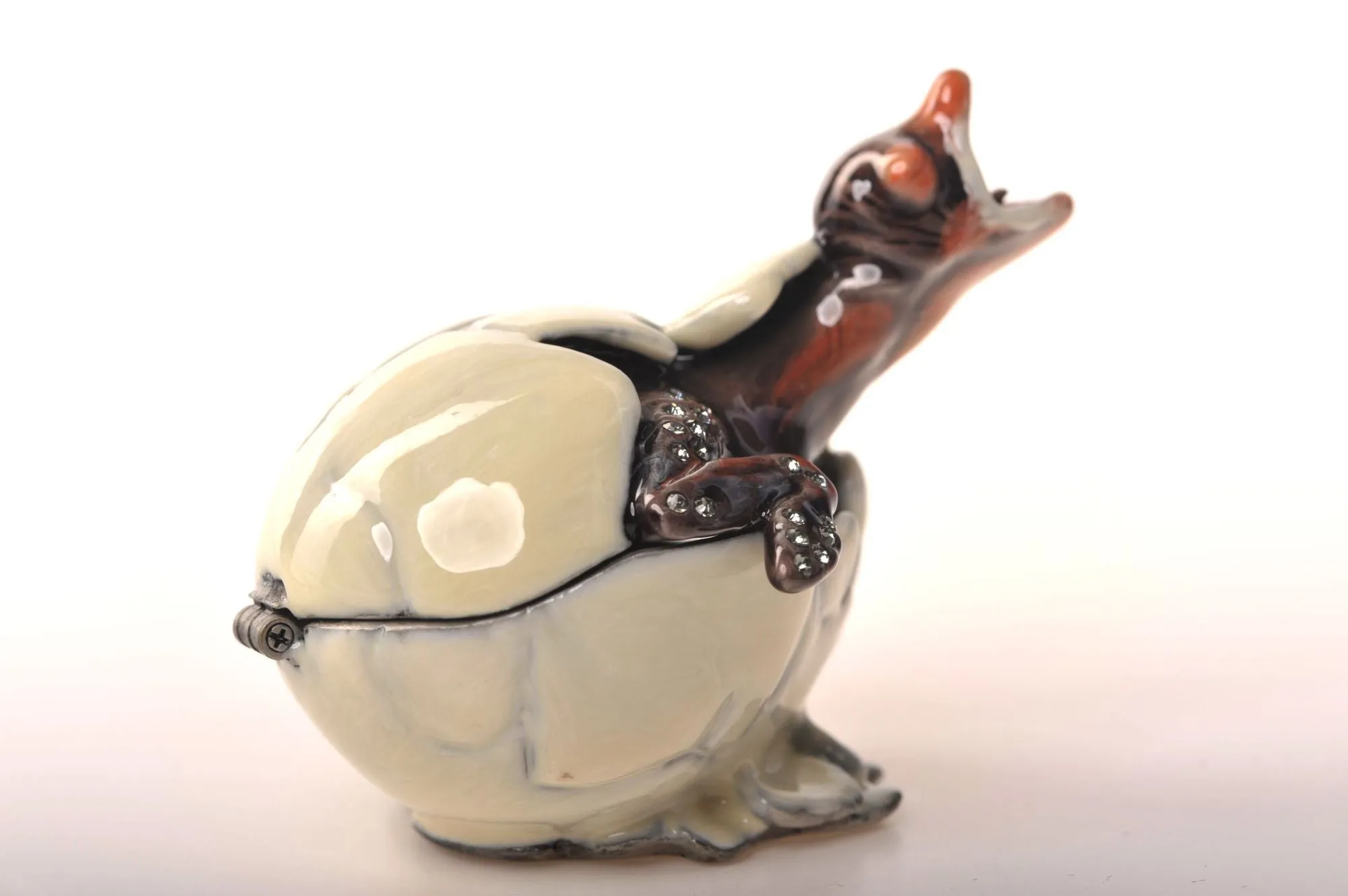 Hatching Chick