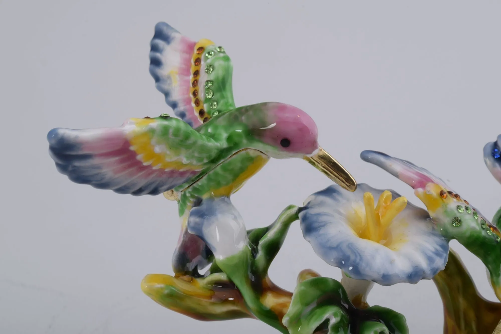 Honey-birds on a Flower