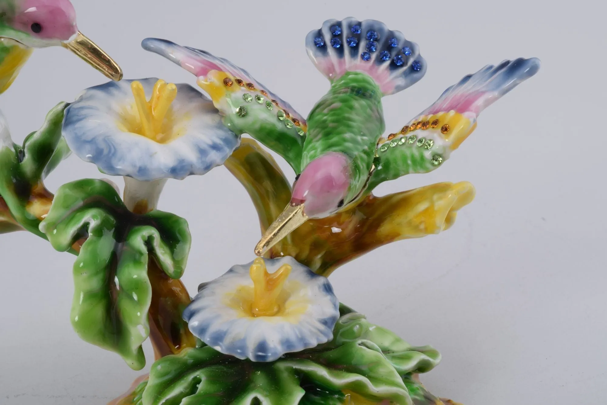 Honey-birds on a Flower