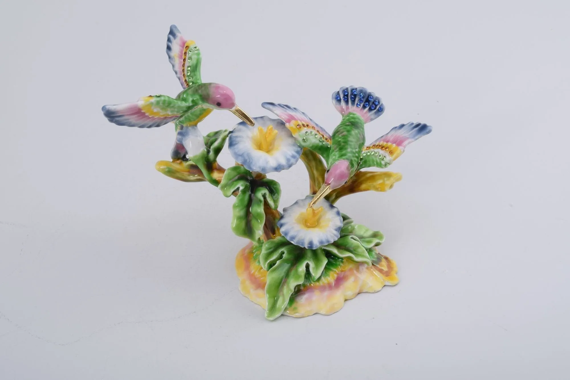 Honey-birds on a Flower