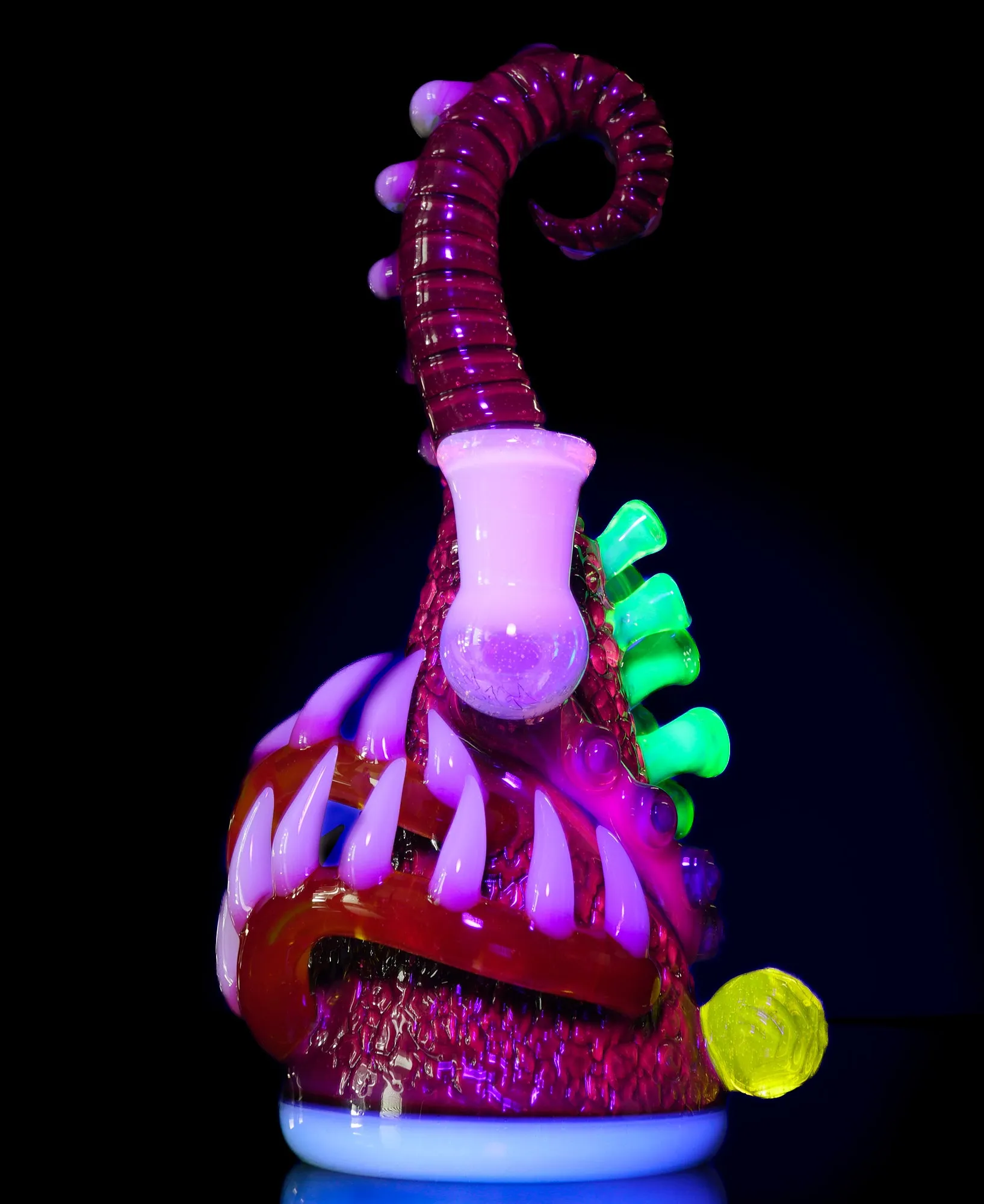 Jet Black / Slime / Lucy / Citrine / Nova / Glowstick Saltacc WhipCurl