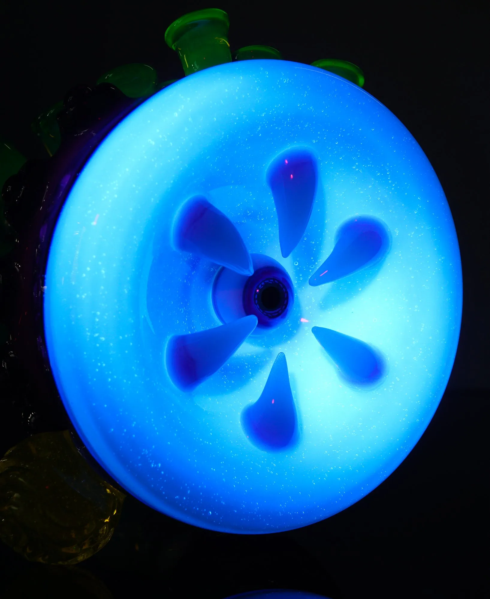 Jet Black / Slime / Lucy / Citrine / Nova / Glowstick Saltacc WhipCurl