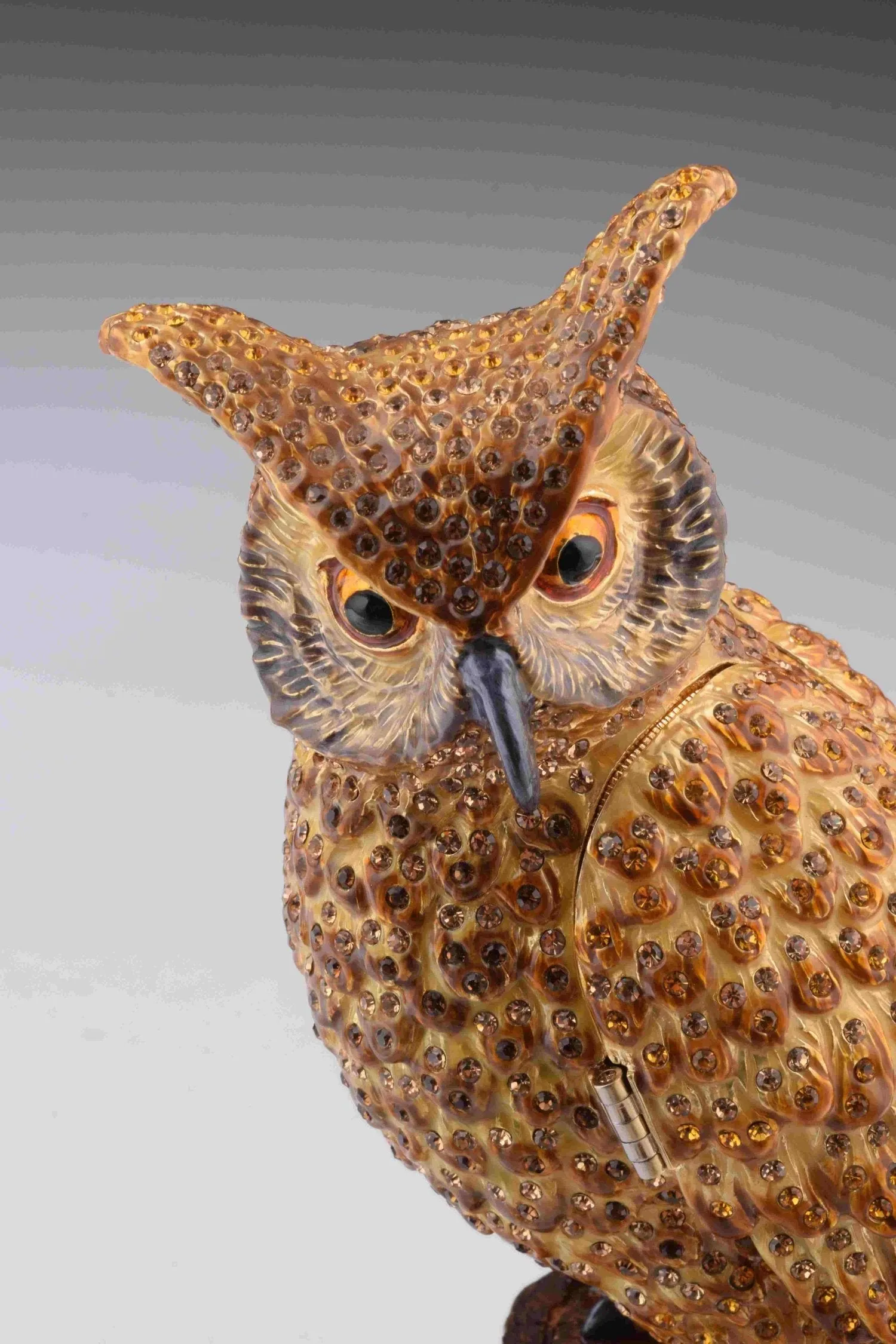 Large Brown Owl