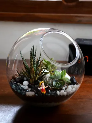 large round Terrarium