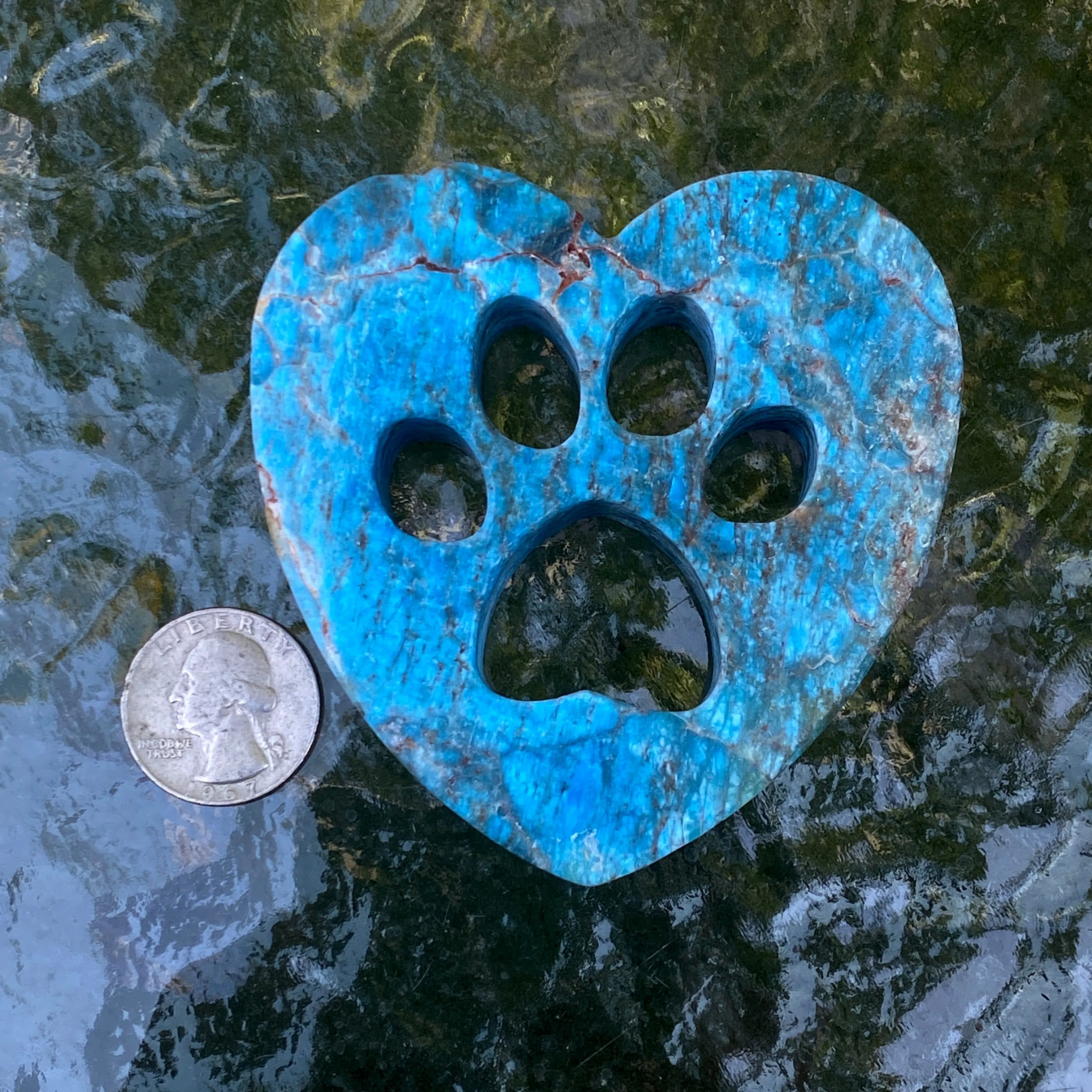 Natural Apatite Gemstone Blue Puppy Paw Cut-out