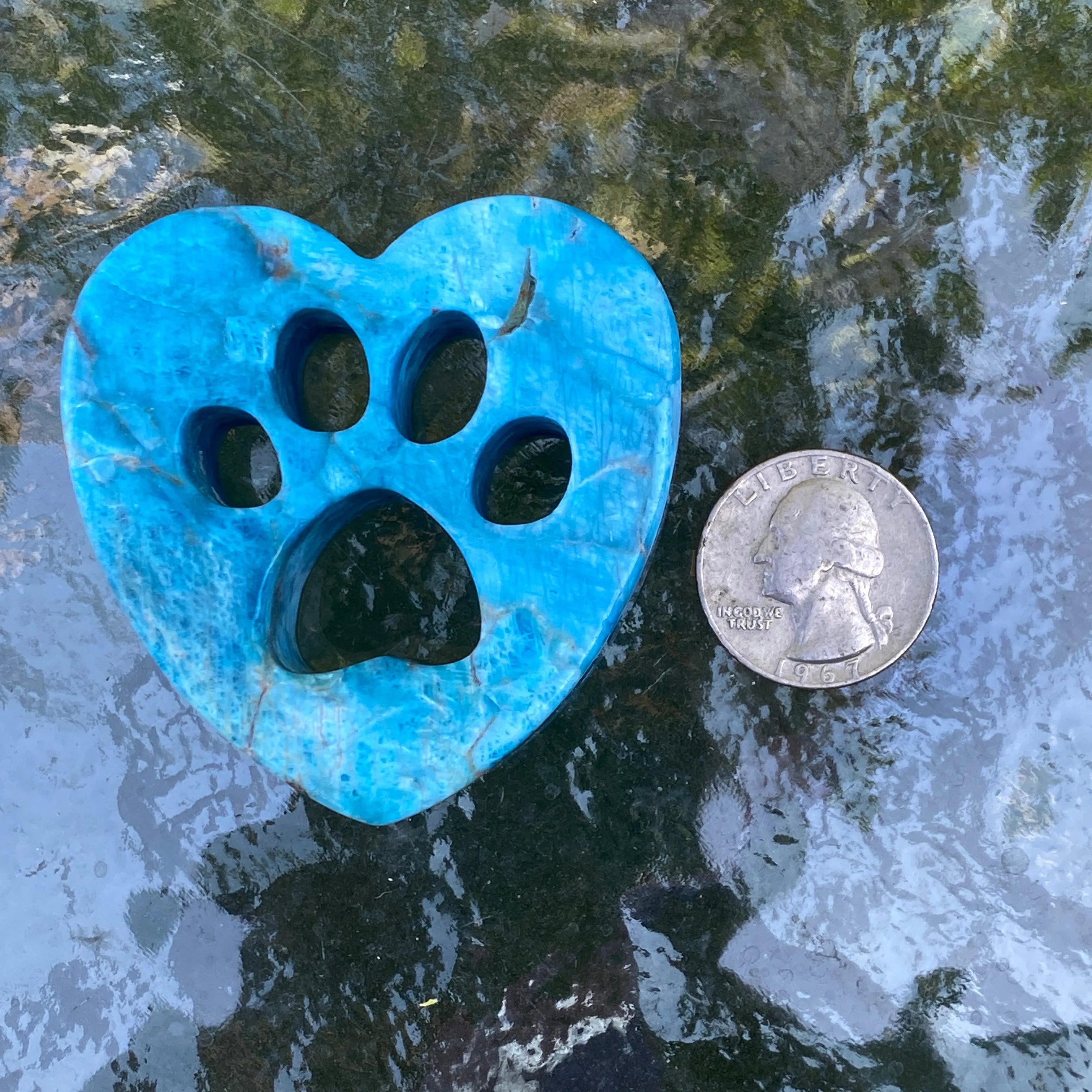 Natural Apatite Gemstone Blue Puppy Paw Cut-out