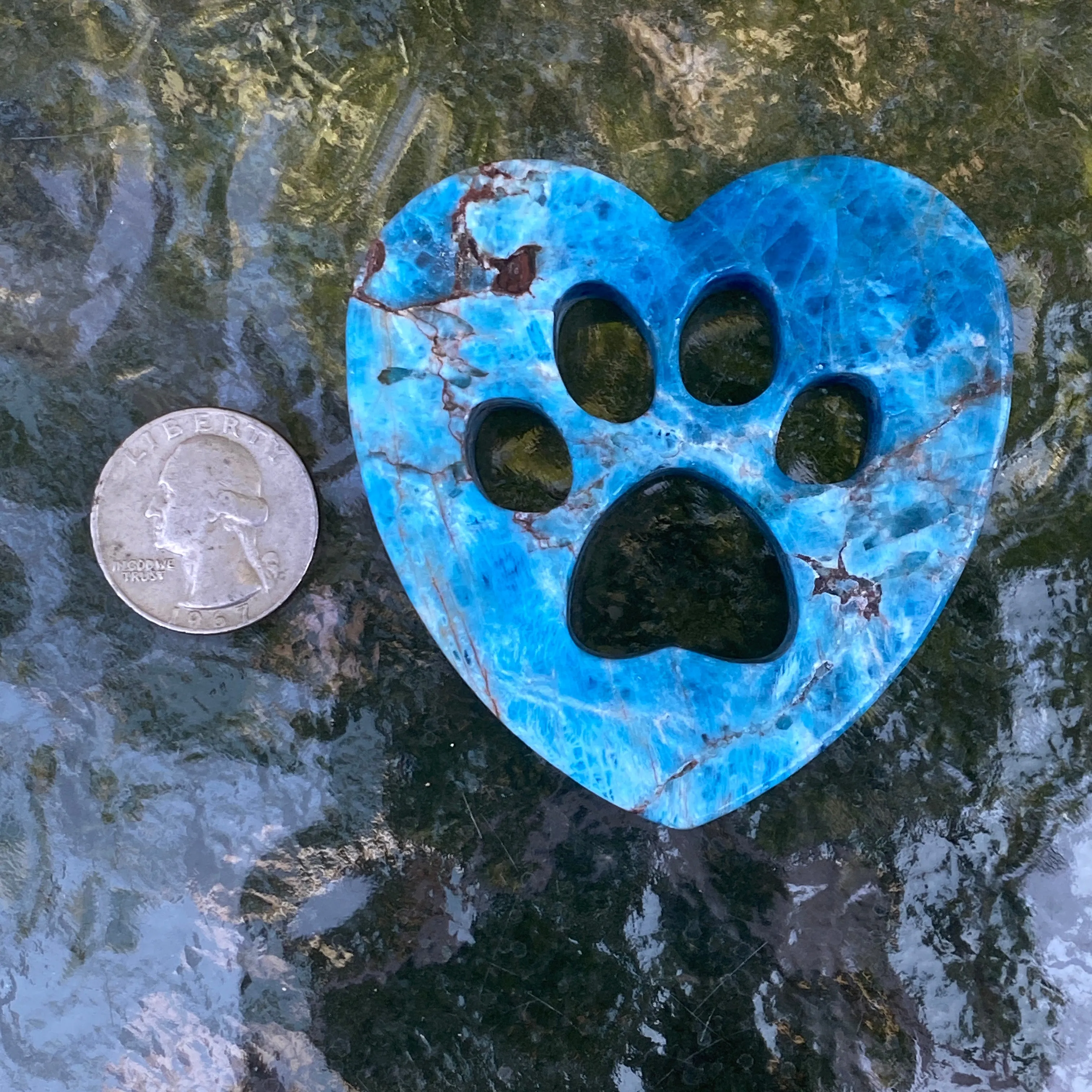 Natural Apatite Gemstone Blue Puppy Paw Cut-out