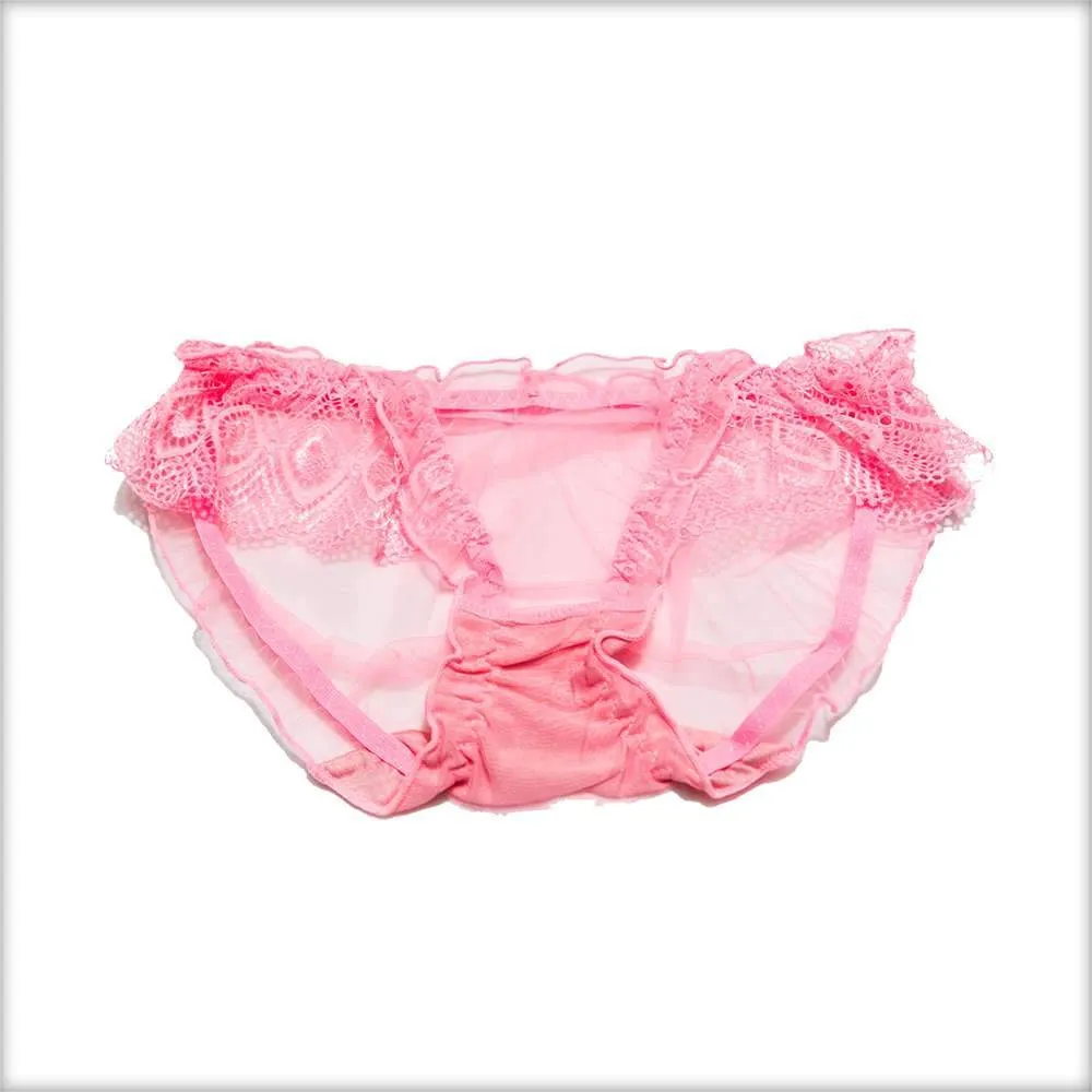 Net Transparent Red Panty