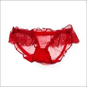 Net Transparent Red Panty