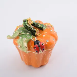 Pumpkin with a Ladybug Box