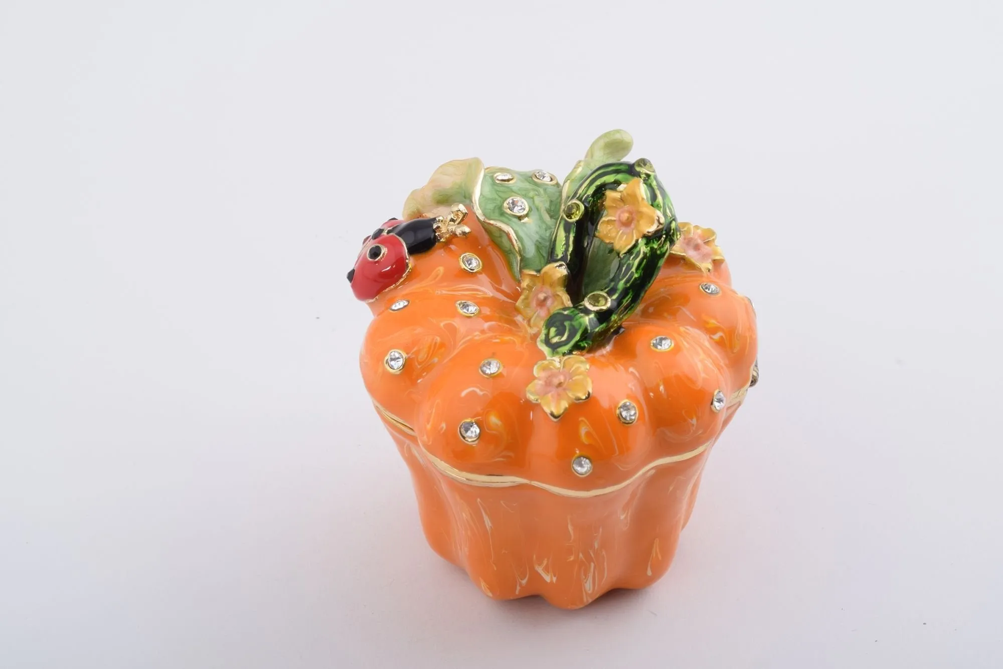 Pumpkin with a Ladybug Box