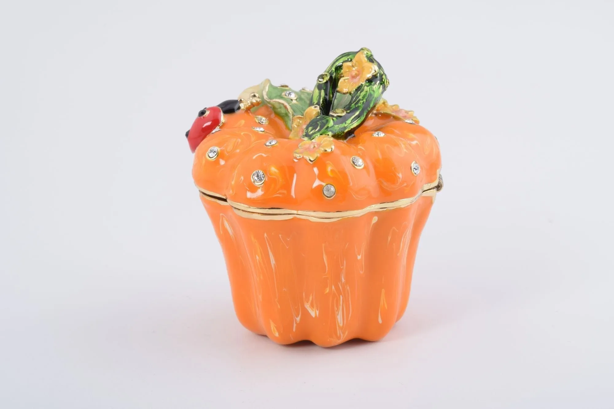 Pumpkin with a Ladybug Box