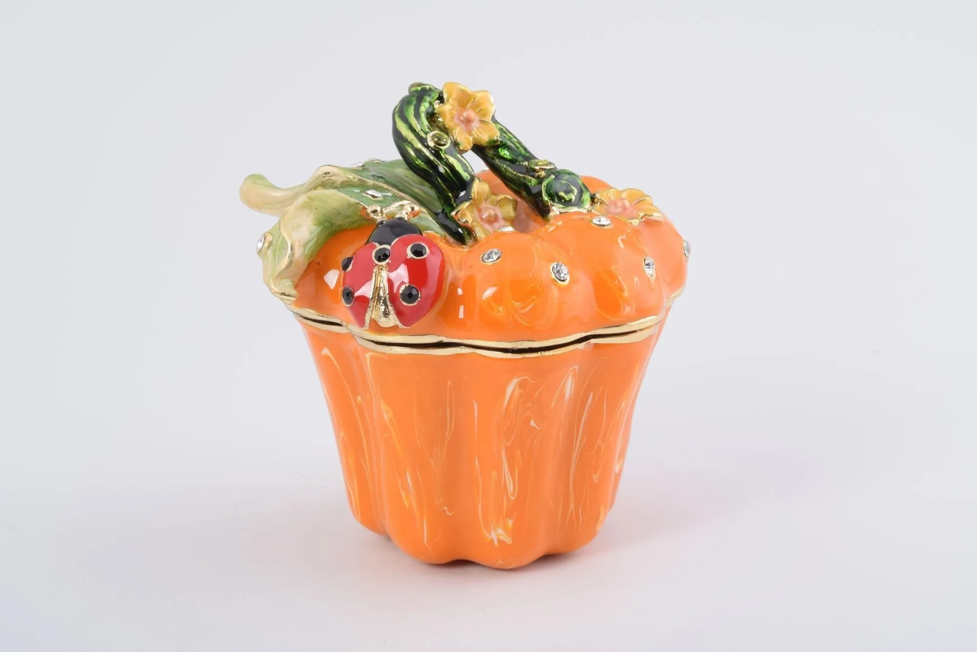 Pumpkin with a Ladybug Box