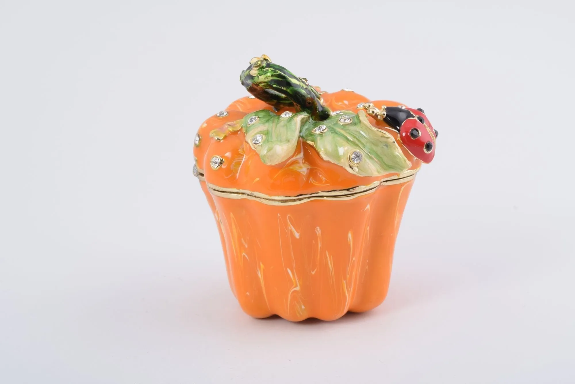 Pumpkin with a Ladybug Box