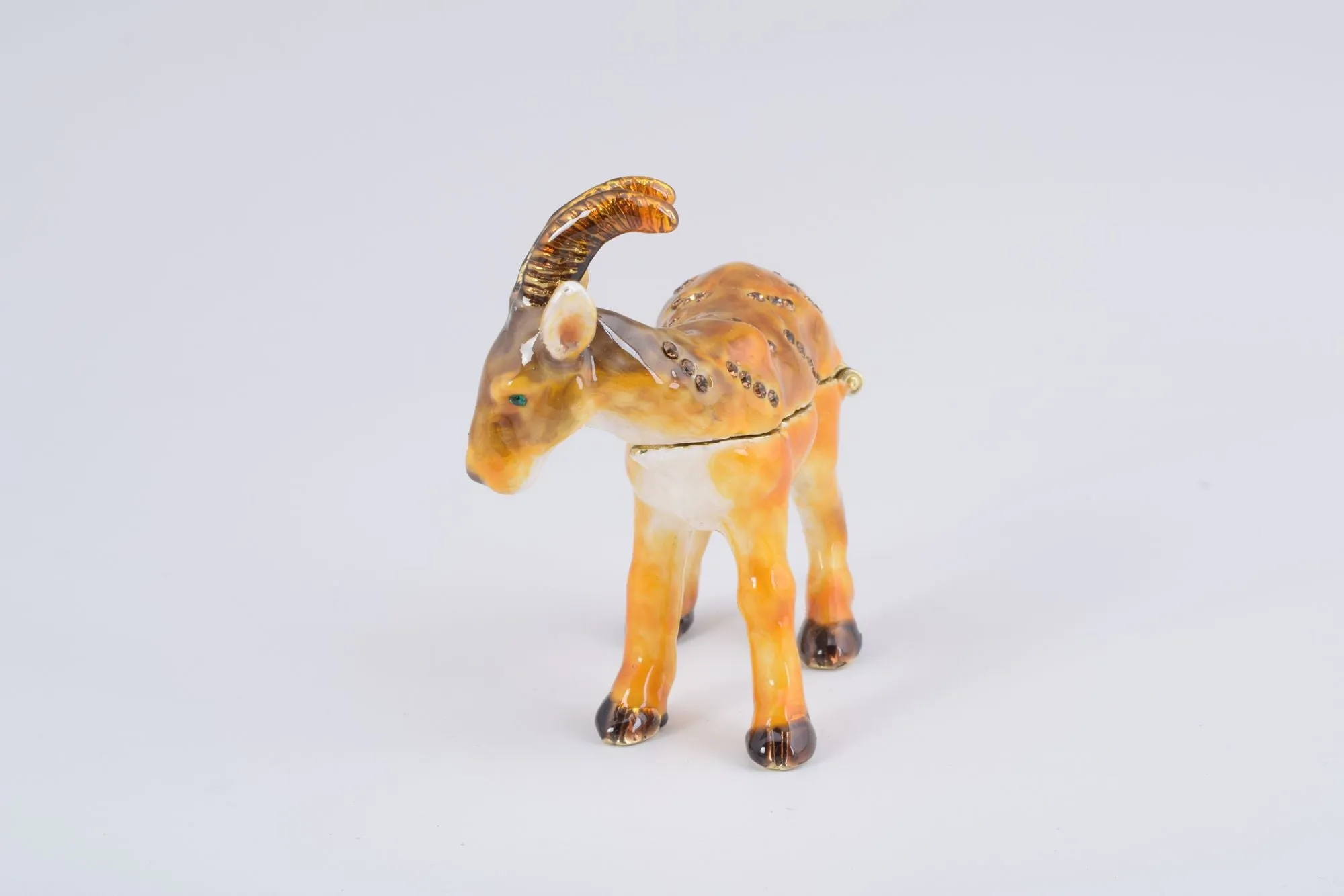Ram goat