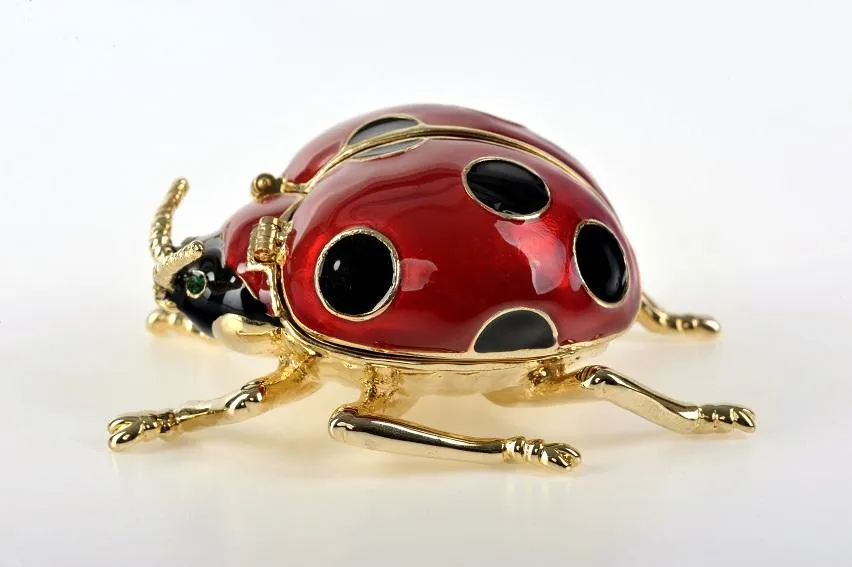Red Ladybug