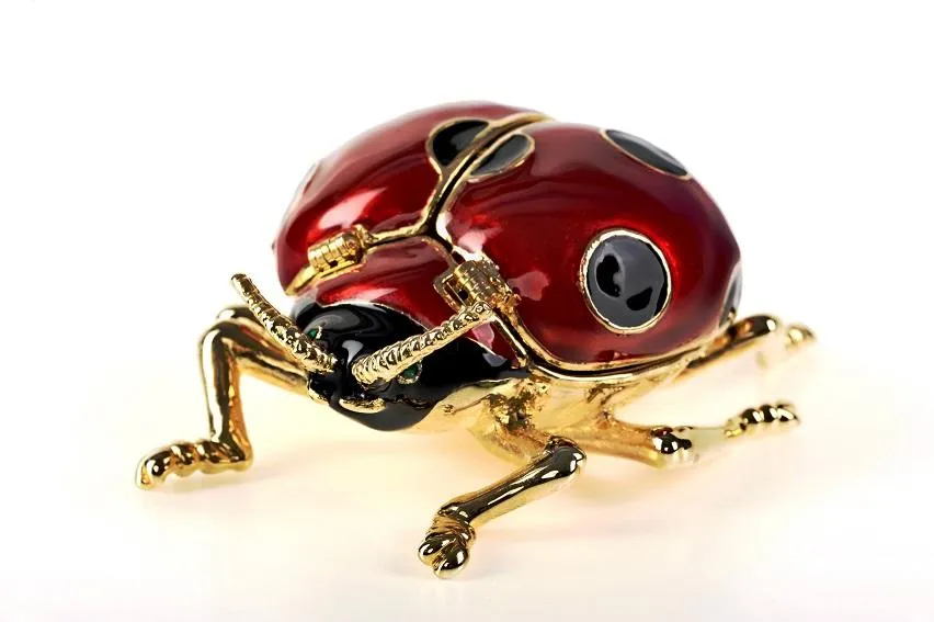Red Ladybug
