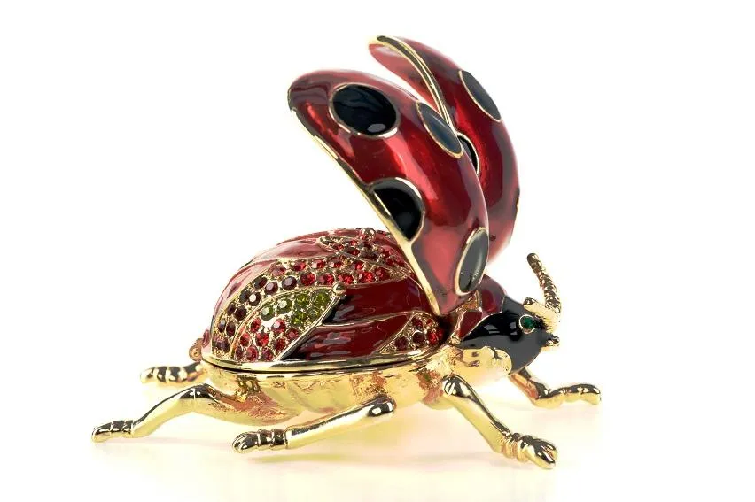 Red Ladybug