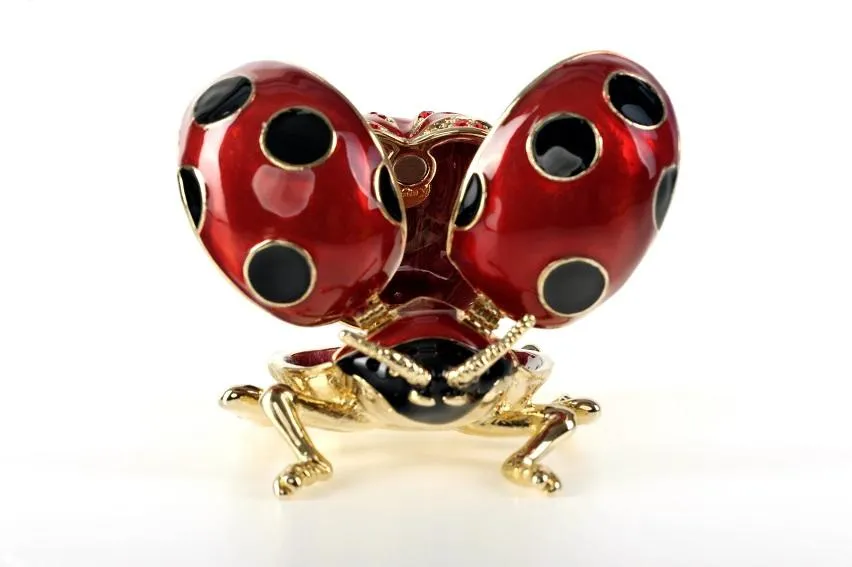 Red Ladybug