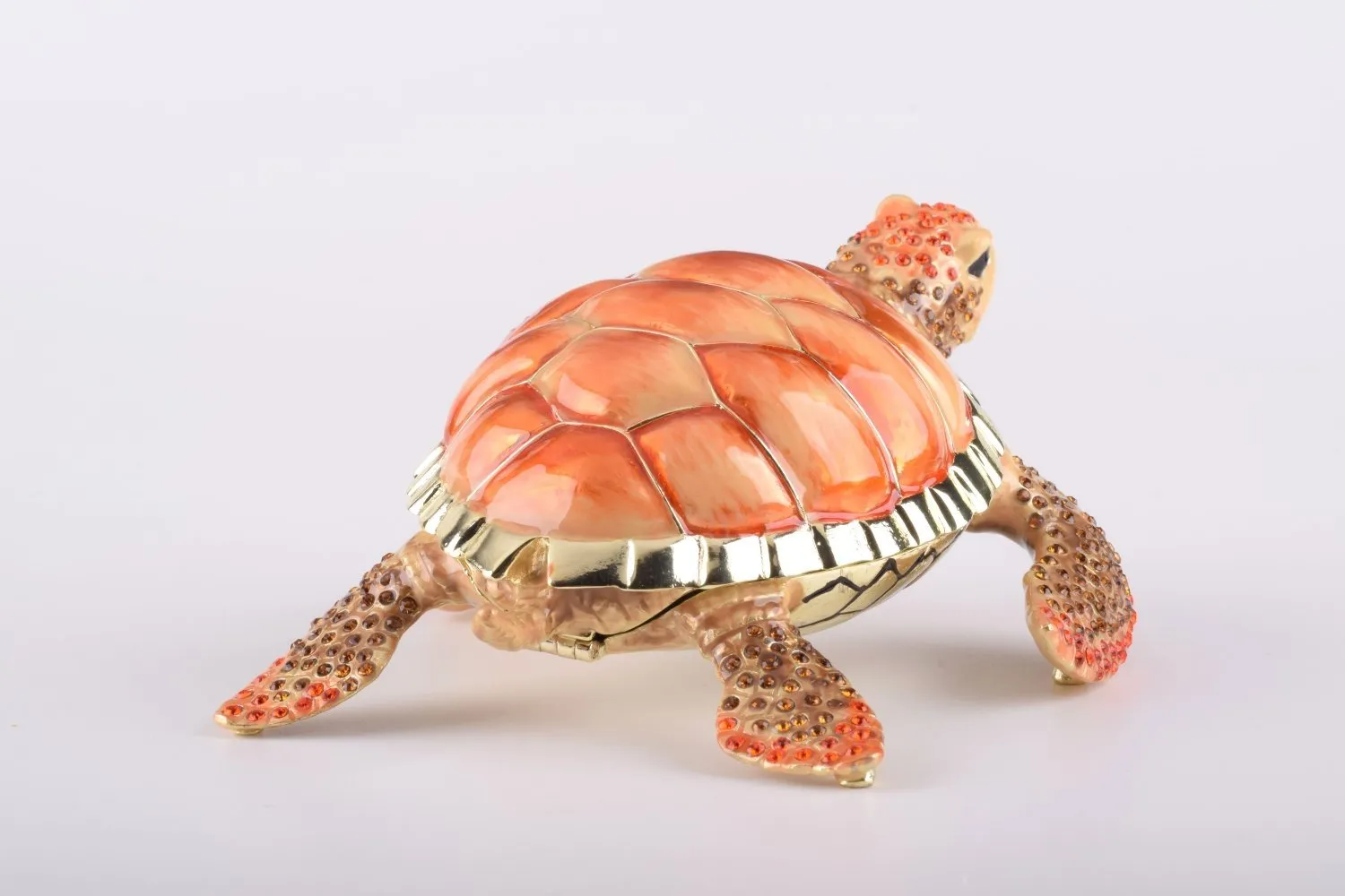 Red Sea Turtle