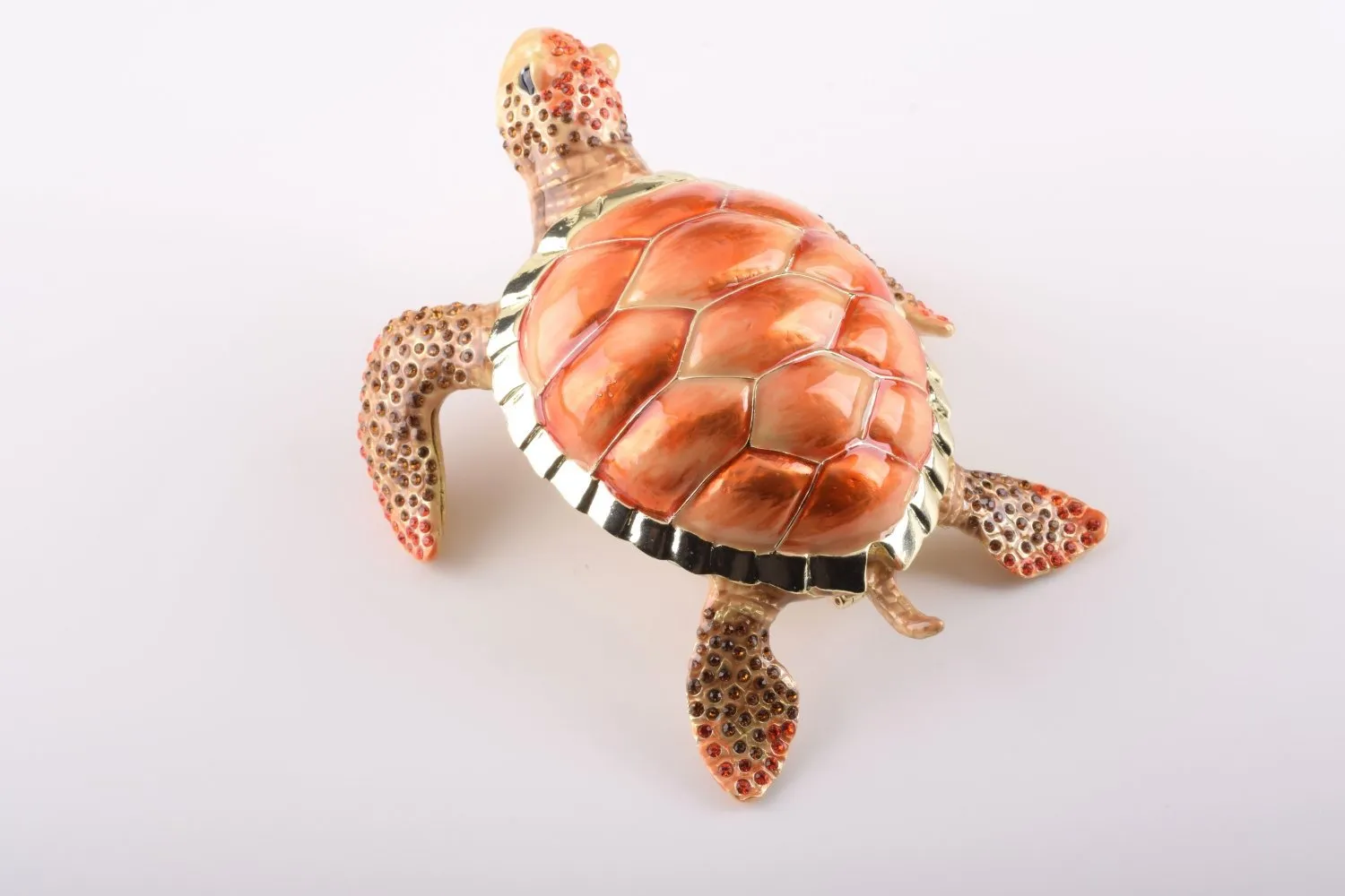 Red Sea Turtle