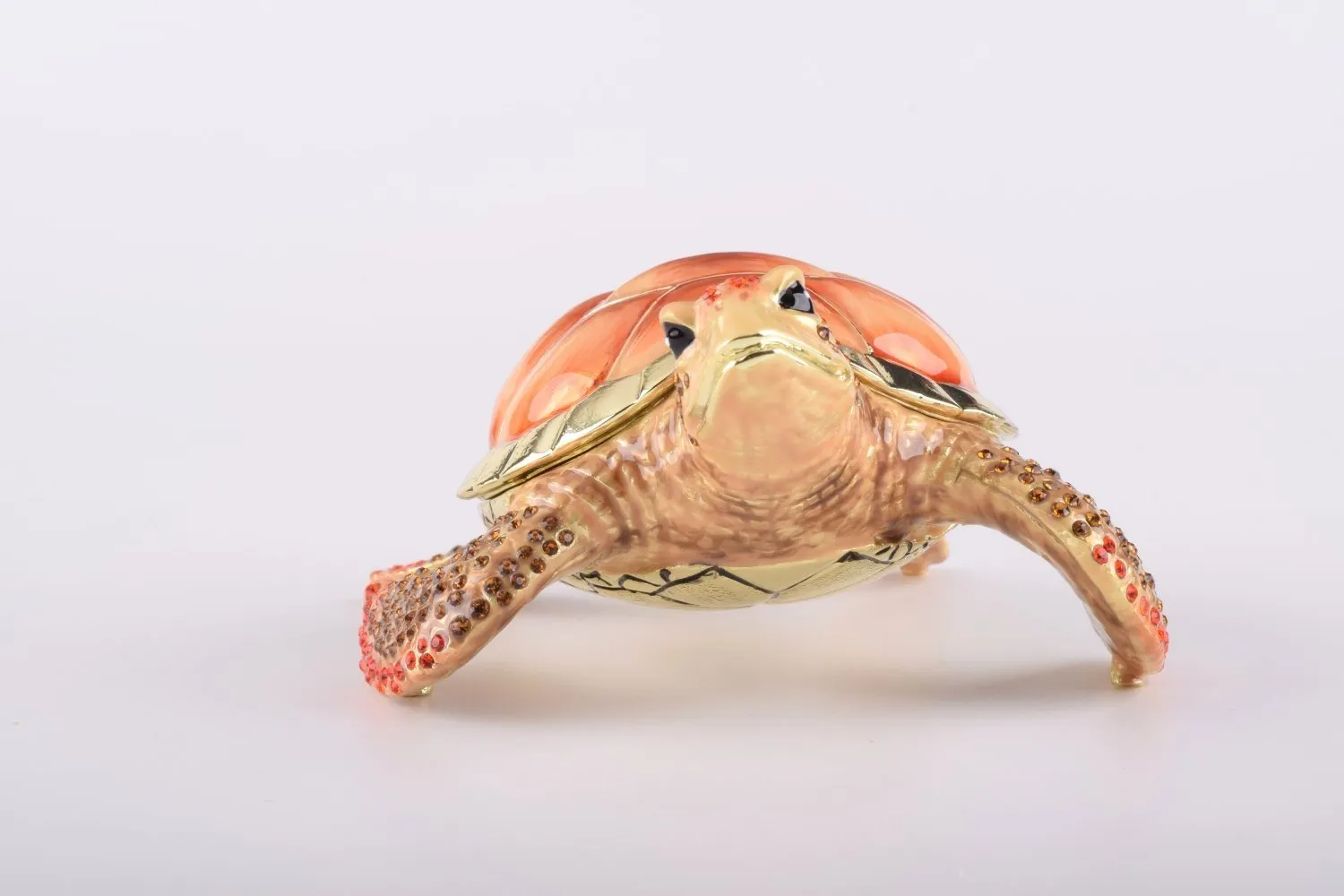 Red Sea Turtle