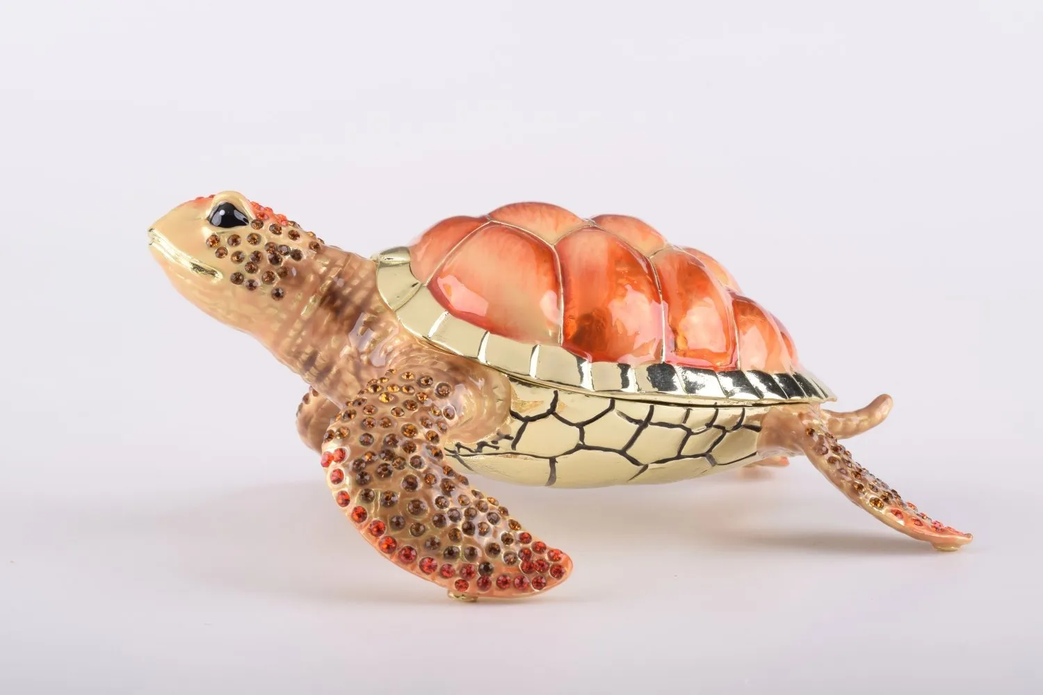 Red Sea Turtle