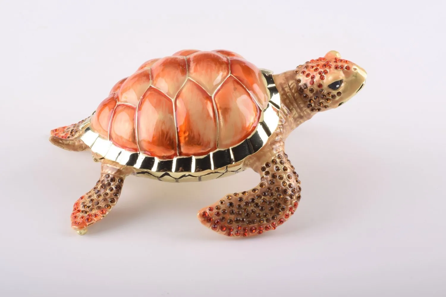 Red Sea Turtle