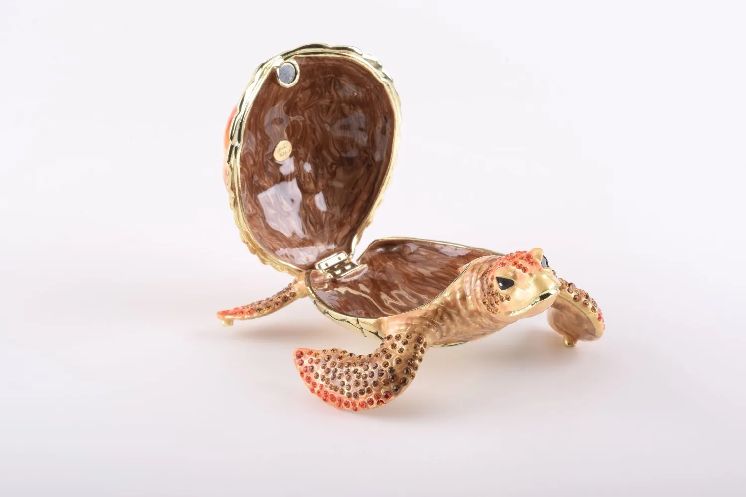 Red Sea Turtle