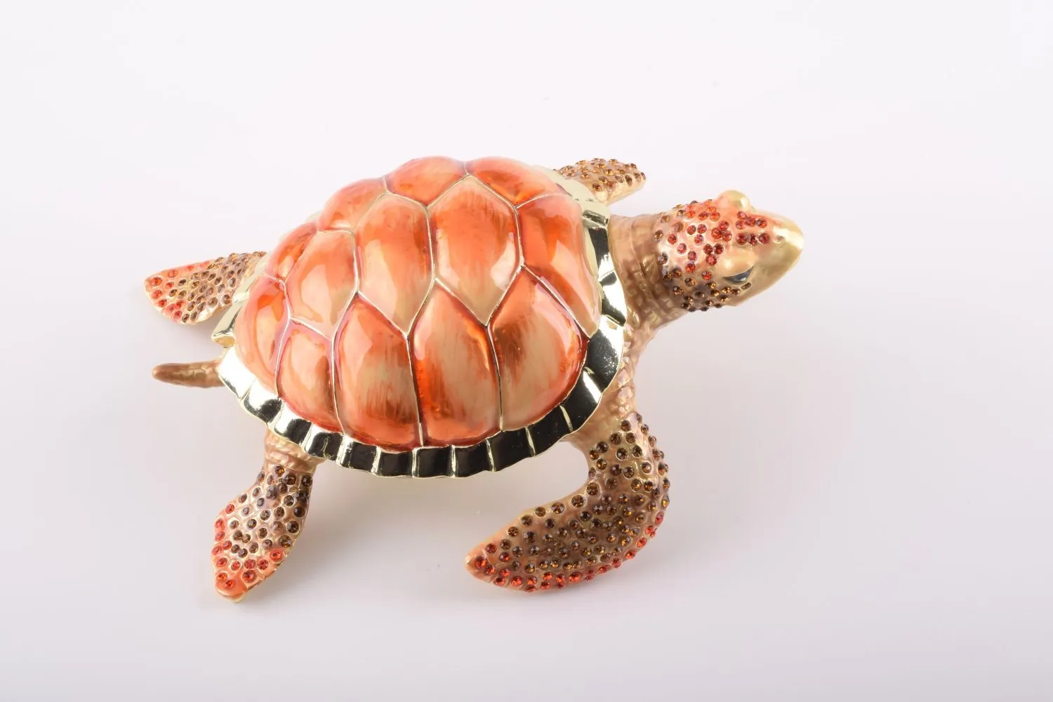 Red Sea Turtle