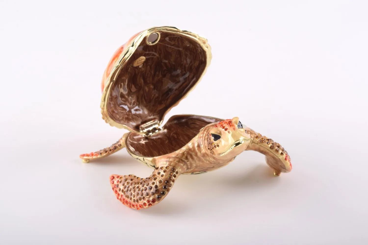 Red Sea Turtle