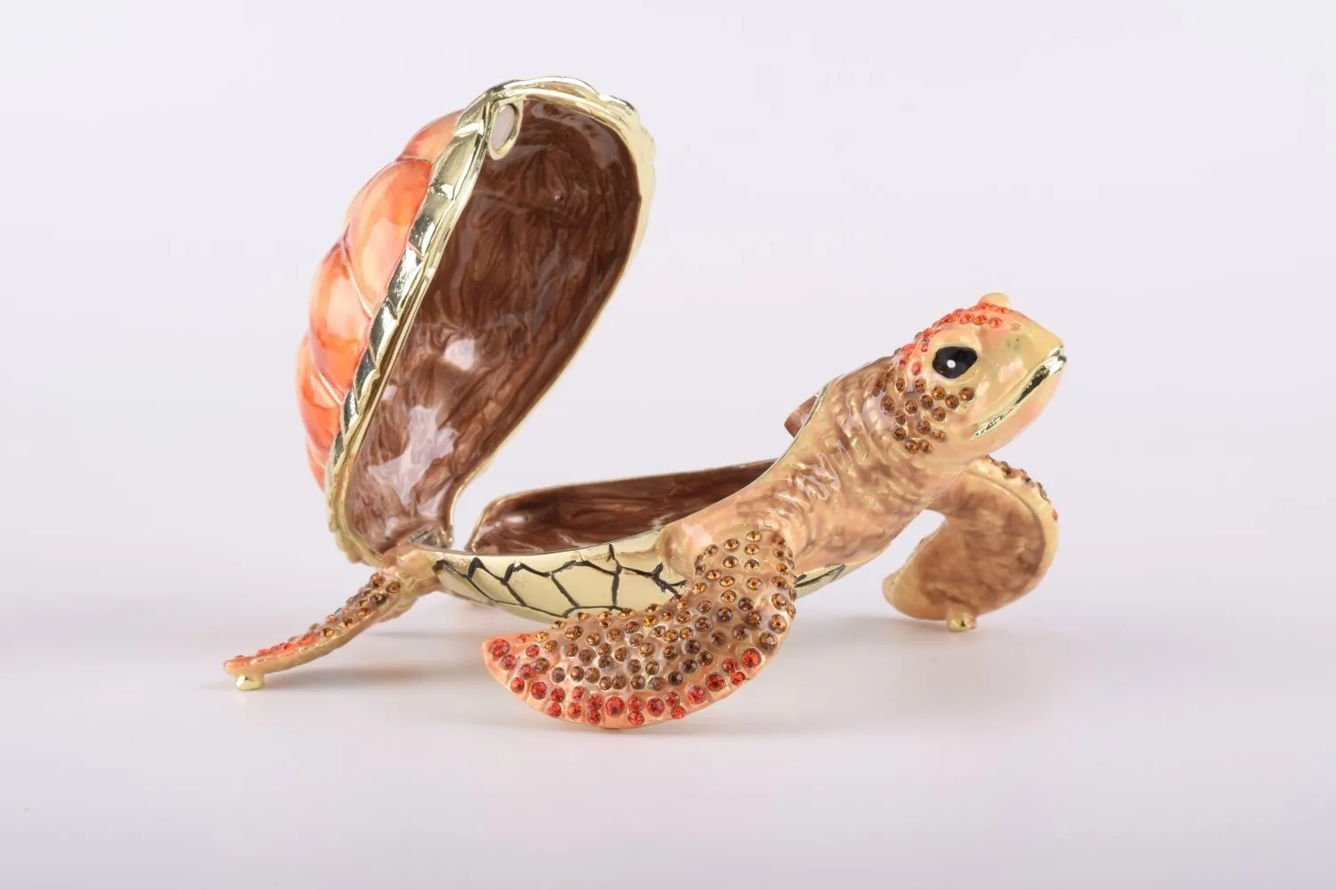 Red Sea Turtle
