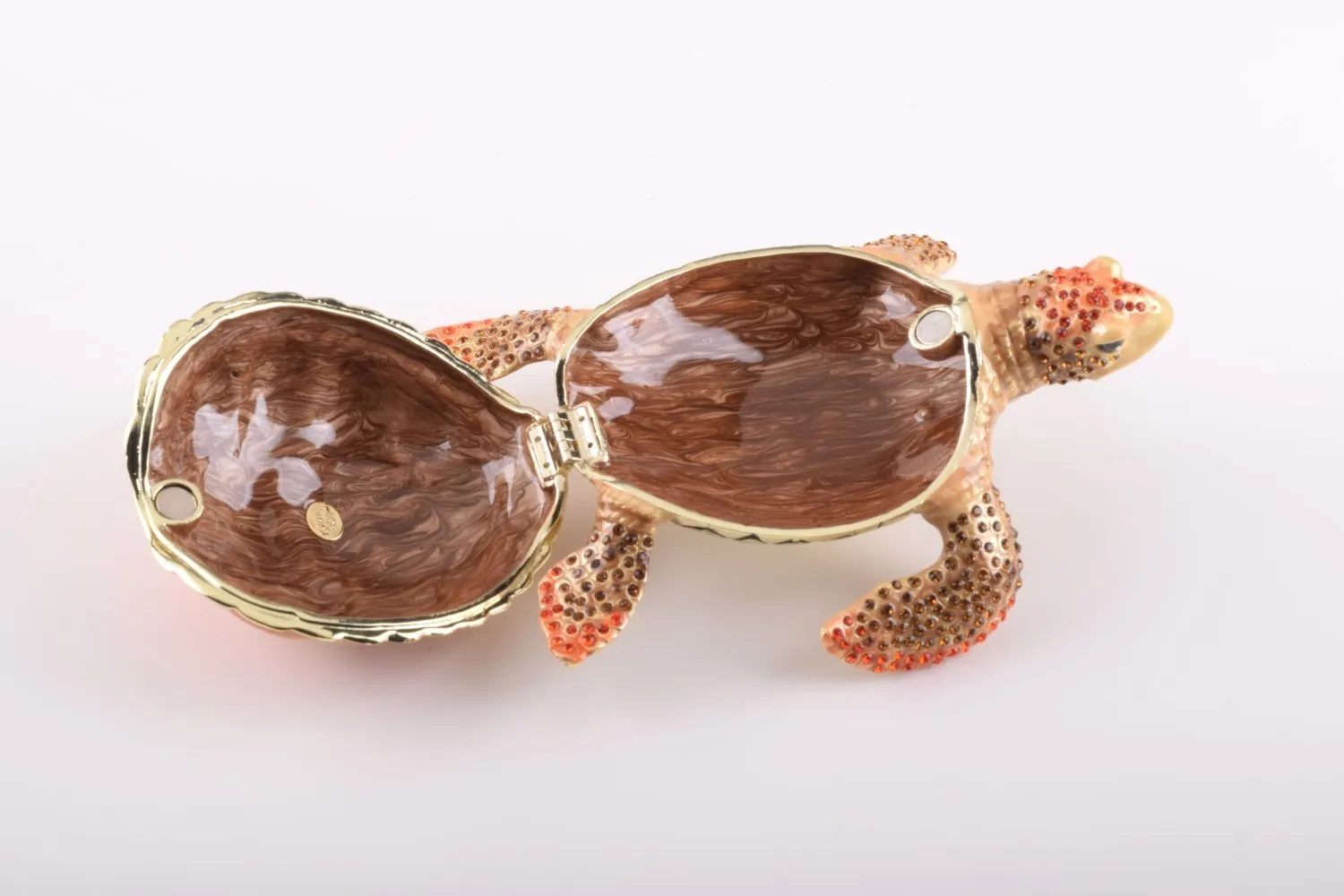 Red Sea Turtle