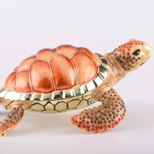 Red Sea Turtle