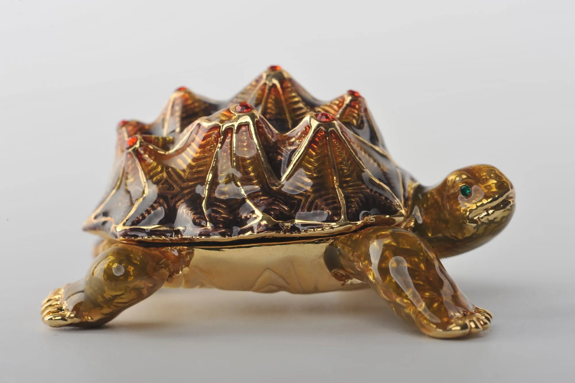Rough Shell Turtle