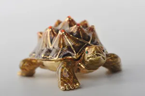 Rough Shell Turtle