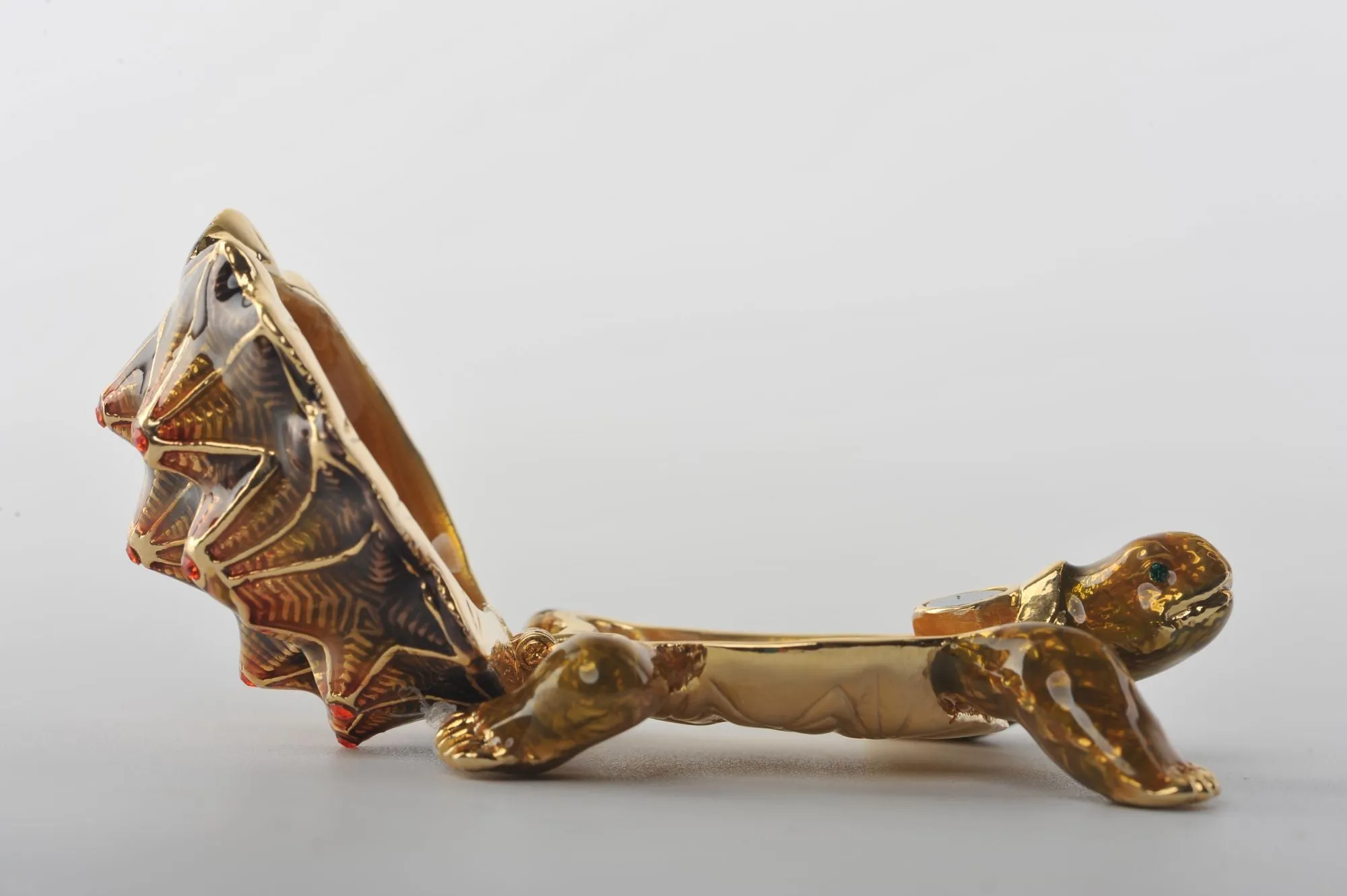 Rough Shell Turtle