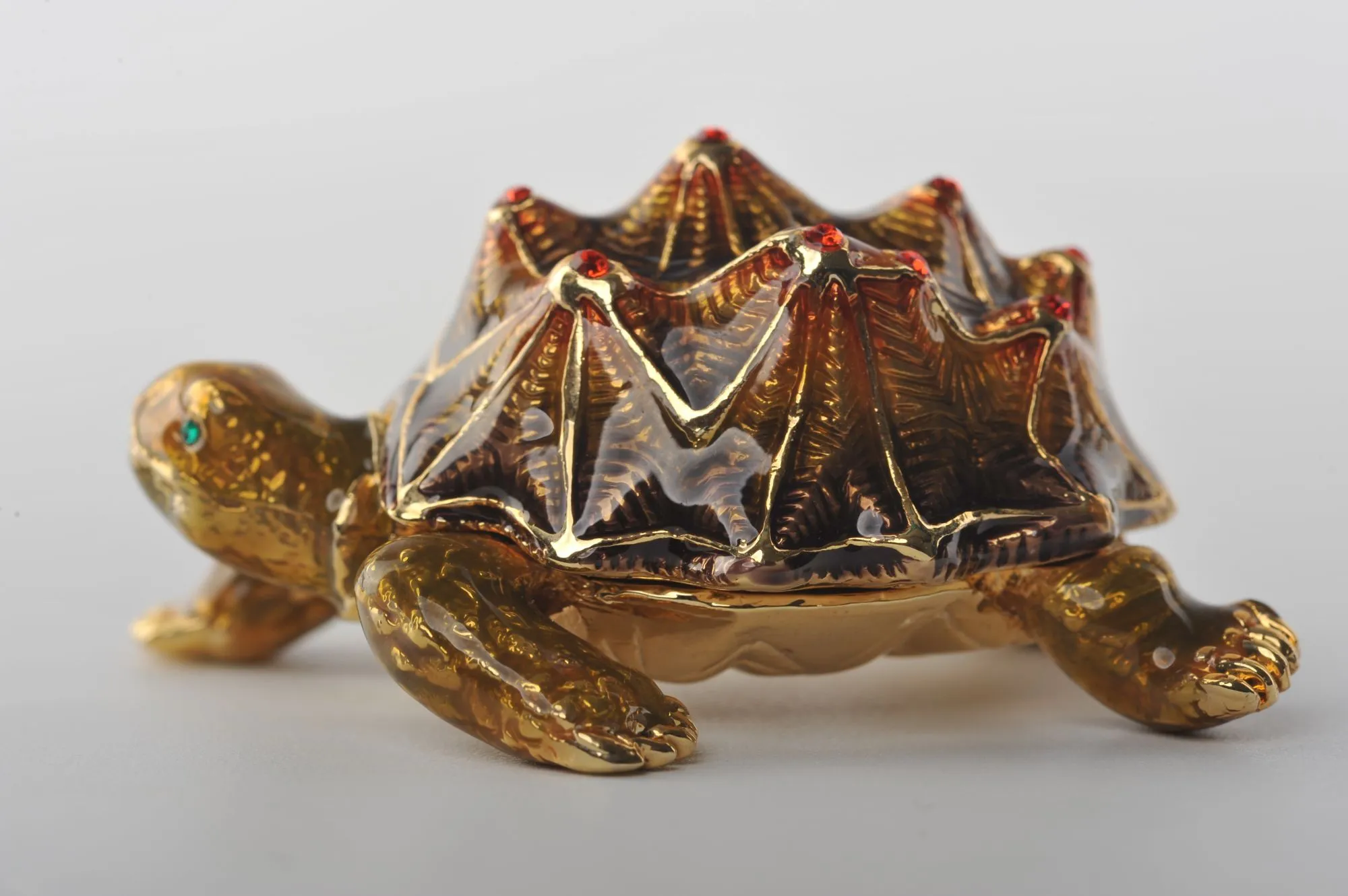 Rough Shell Turtle