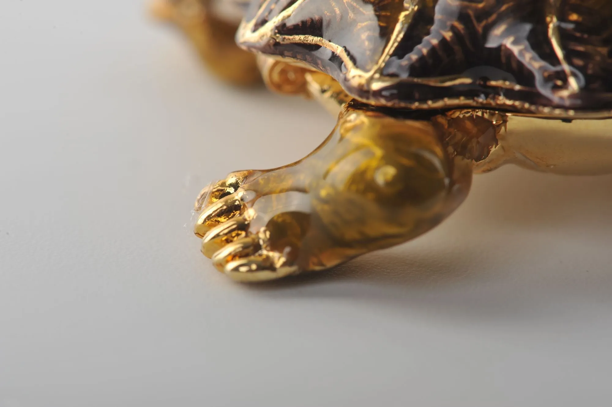 Rough Shell Turtle