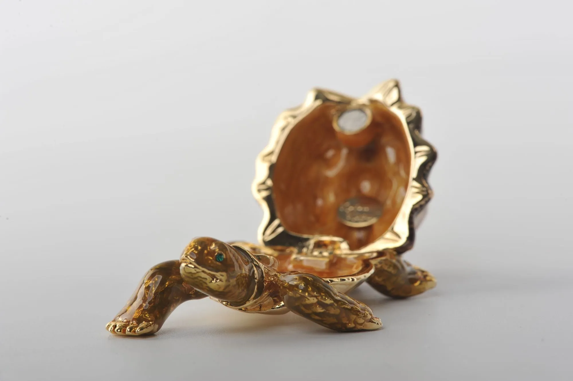 Rough Shell Turtle