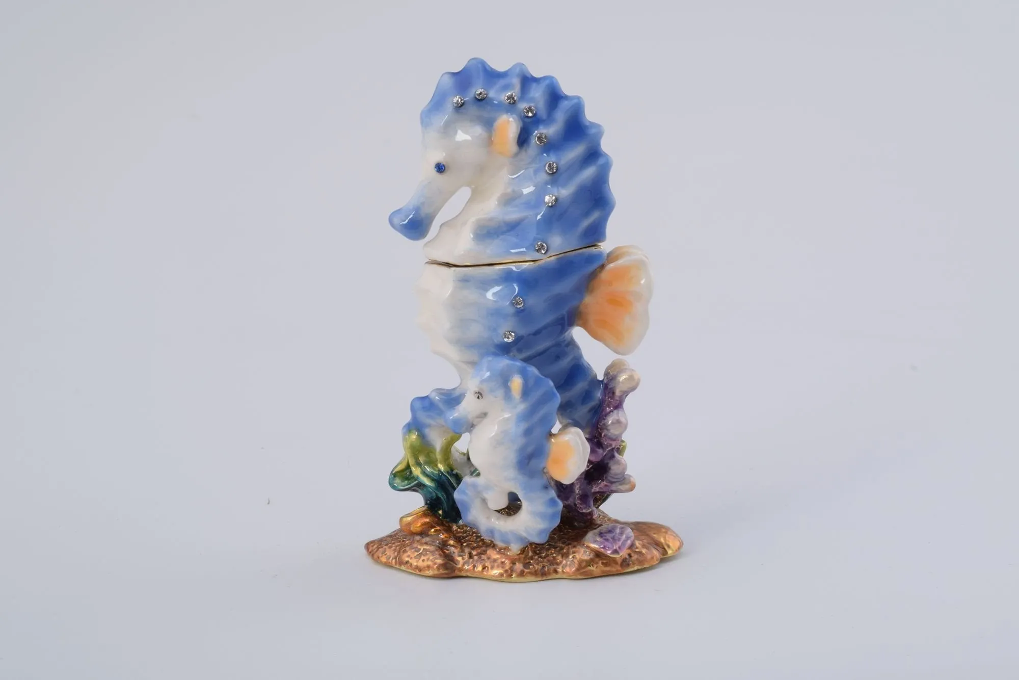 Seahorse with a Baby Seahorse