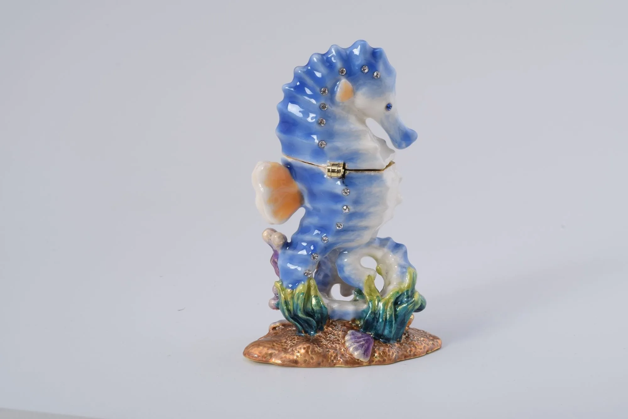 Seahorse with a Baby Seahorse