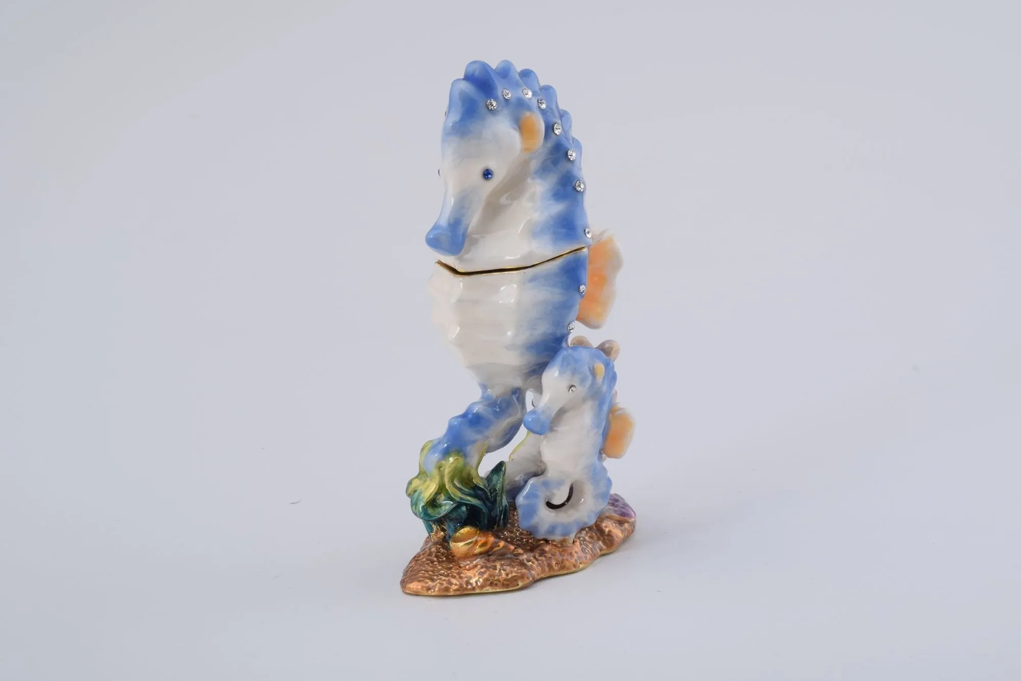 Seahorse with a Baby Seahorse