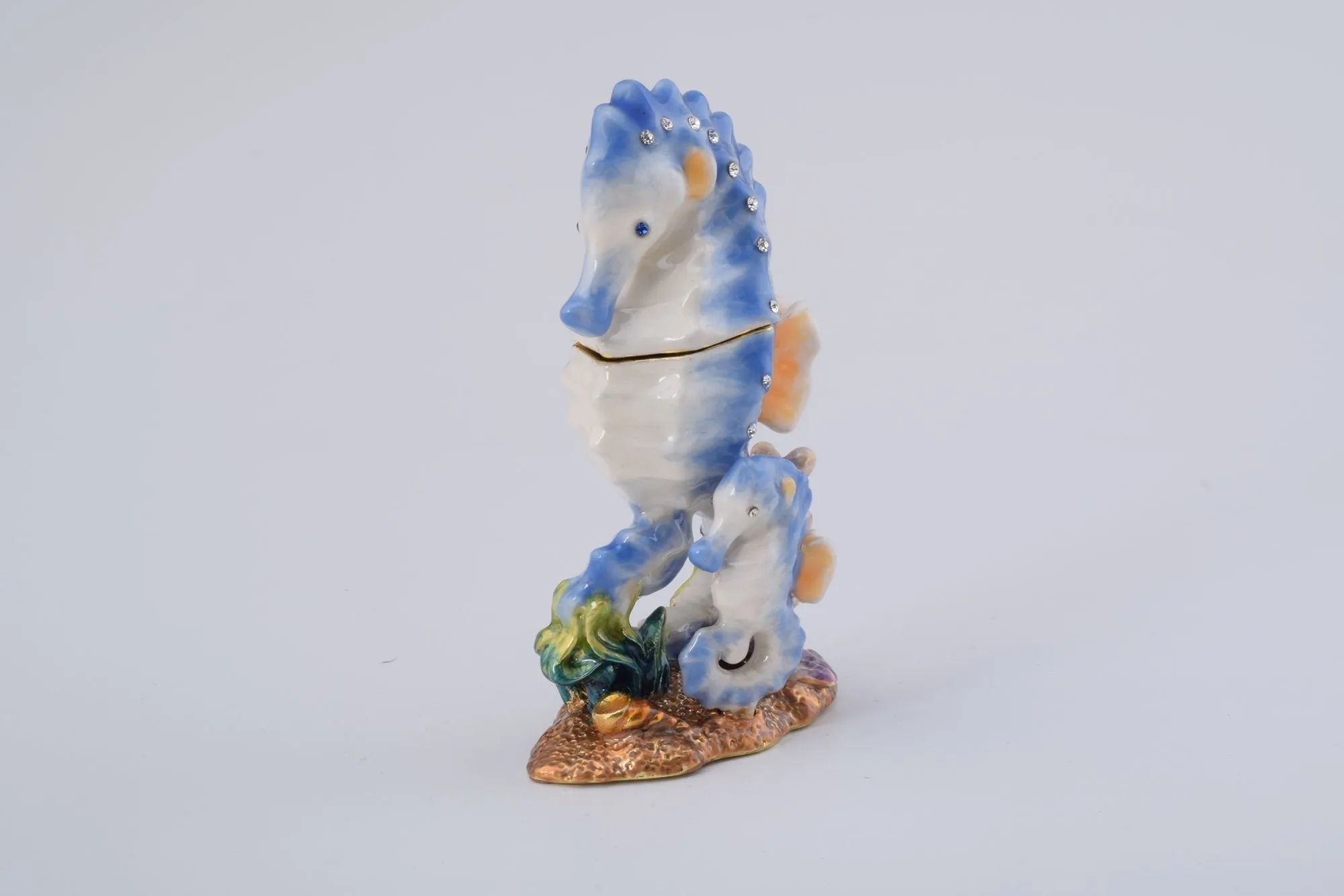 Seahorse with a Baby Seahorse