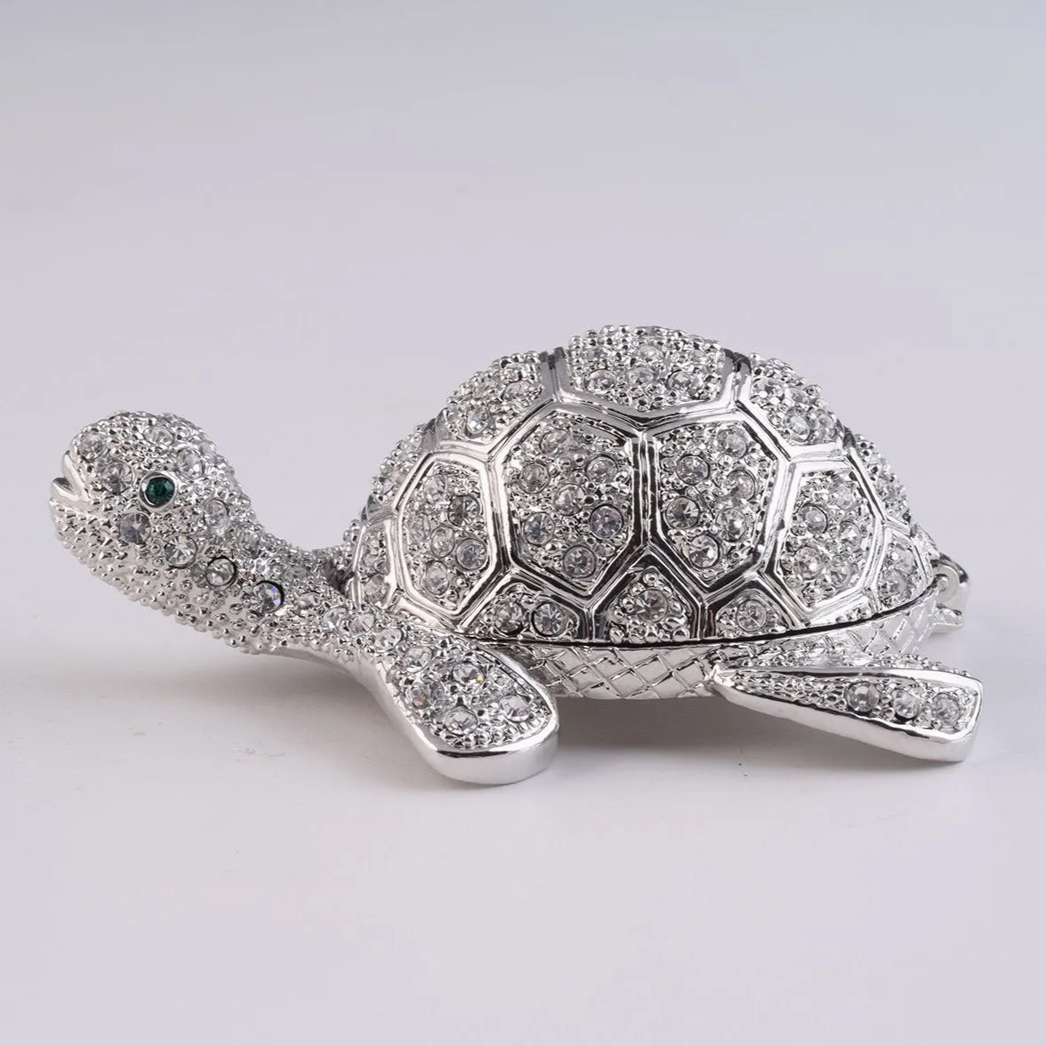Silver Turtle