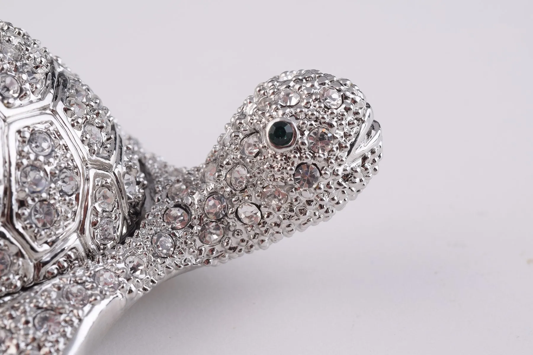 Silver Turtle