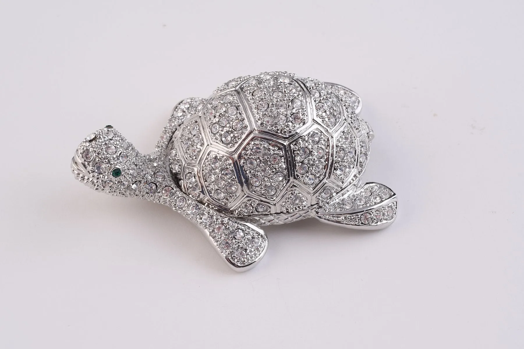 Silver Turtle