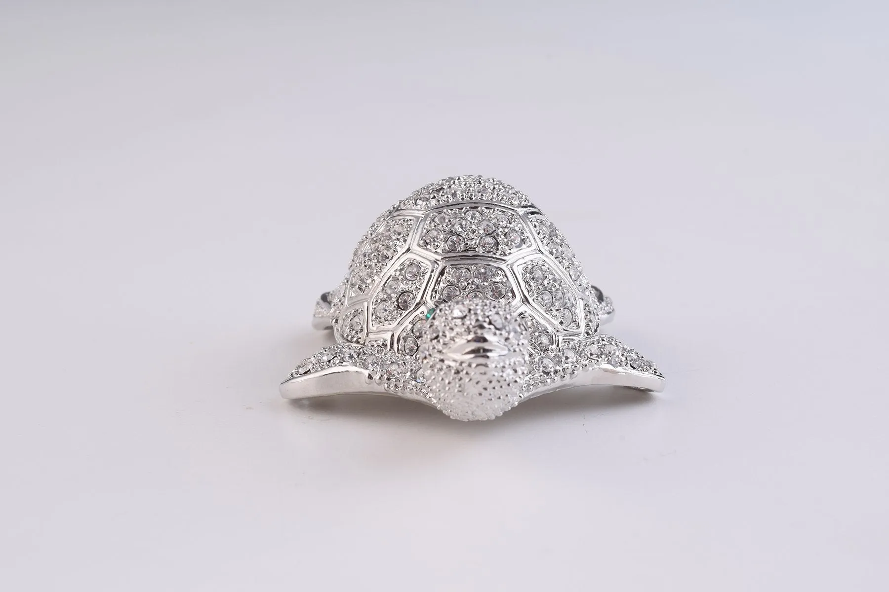Silver Turtle