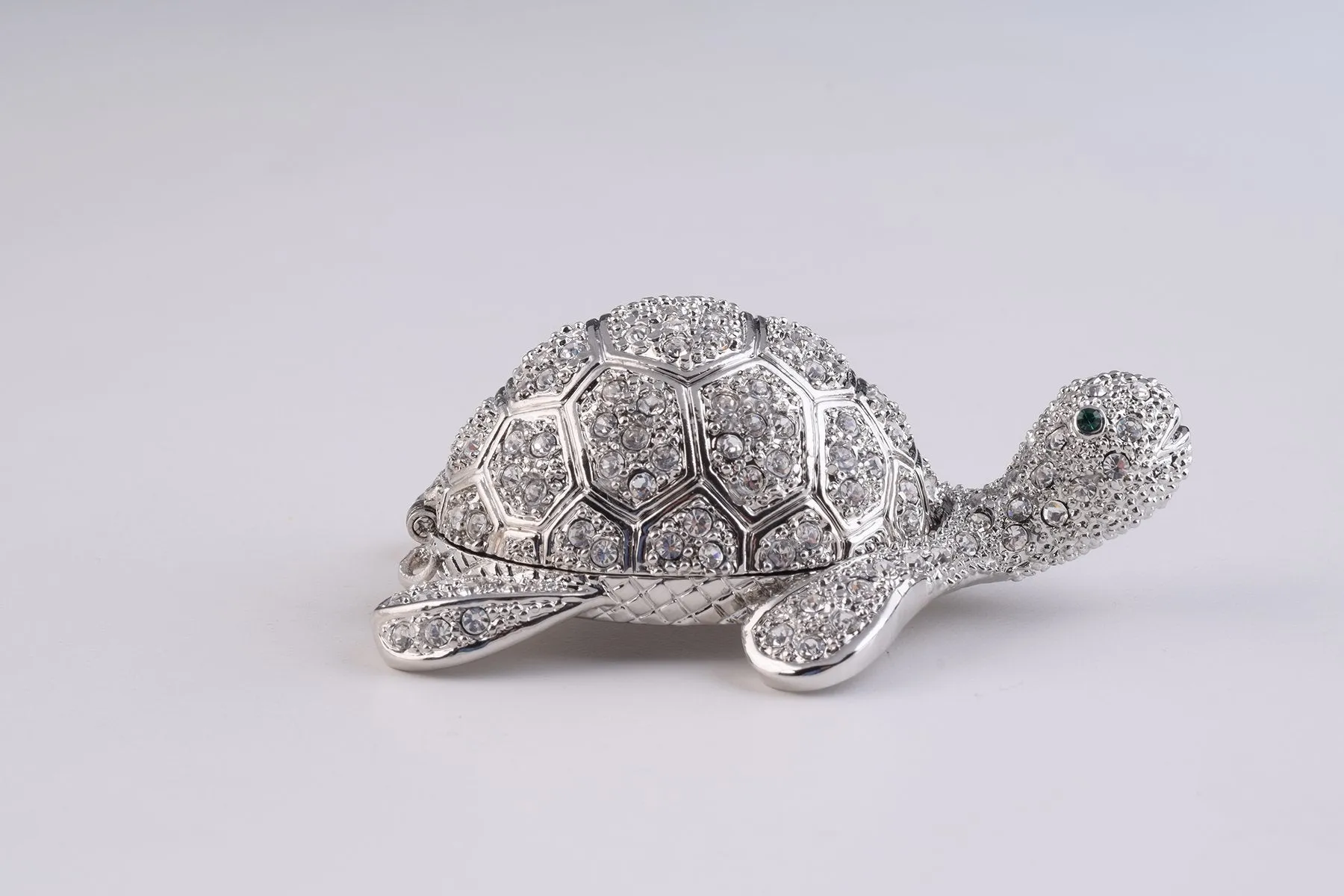 Silver Turtle